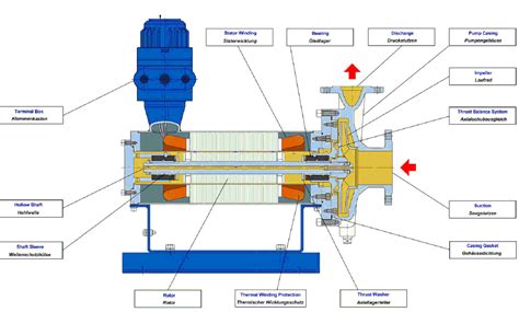 canned pump vs centrifugal|canned motor pump working principle.